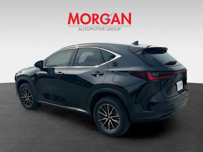 2025 Lexus NX — detail view