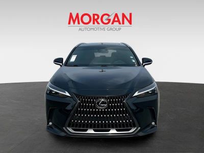 2025 Lexus NX — side profile view