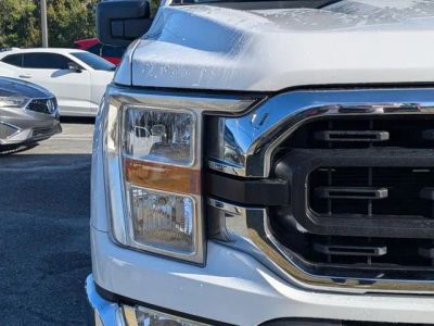2021 Ford F-150 — photo 9 view