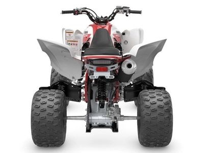 2026 Yamaha Raptor 700R SE - Photo 13