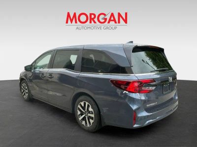 2026 Honda Odyssey — interior view
