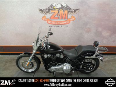 2020 Harley-Davidson Softail Standard - Photo 6