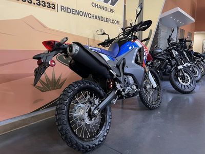 2025 Honda CRF300L Rally ABS - Photo 3