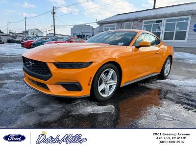 2026 Ford Mustang — rear three-quarter view