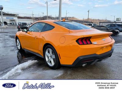 2026 Ford Mustang — detail view