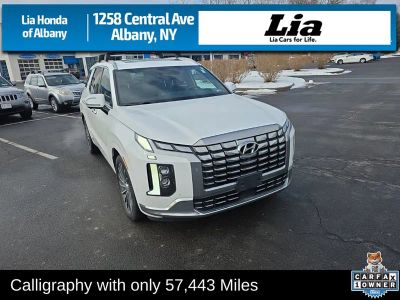 2023 Hyundai Palisade Calligraphy - Photo 2
