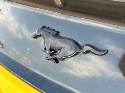 2017 Ford Mustang - Photo 32