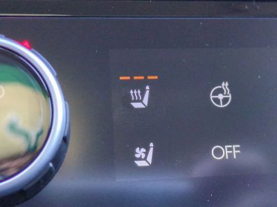 2026 Hyundai PALISADE — photo 30 view
