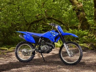 2026 Yamaha TT-R230 - Photo 19
