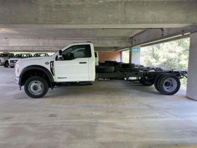 2025 Ford Chassis Cab - Photo 3