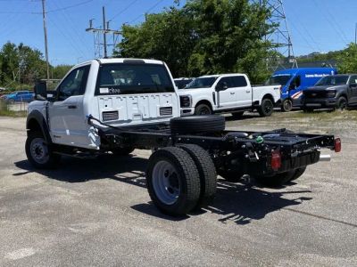 2025 Ford Chassis Cab - Photo 10