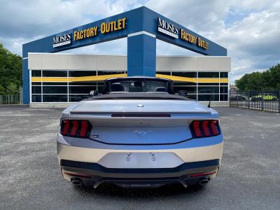 2025 Ford Mustang — detail view