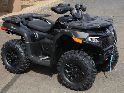 2025 CFMOTO CForce 600 - Photo 2