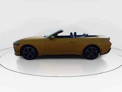 2024 Ford Mustang - Photo 4