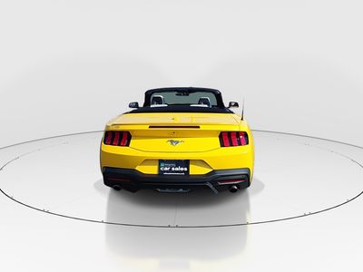 2024 Ford Mustang - Photo 6