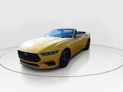 2024 Ford Mustang - Photo 3