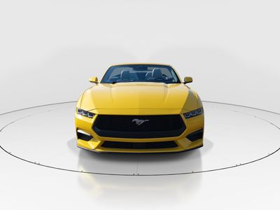 2024 Ford Mustang - Photo 2