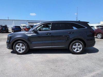 2025 Kia Sorento - Photo 2
