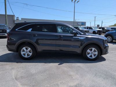 2025 Kia Sorento - Photo 6