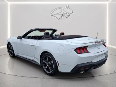 2024 Ford Mustang — detail view