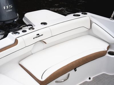 2026 Stingray 191DC - Photo 6