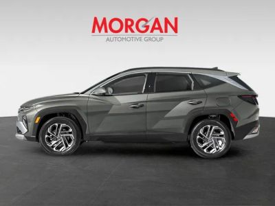 2026 Hyundai TUCSON HYBRID — rear three-quarter view