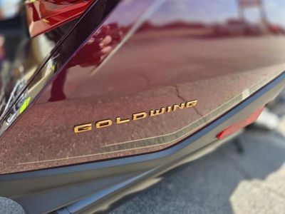 2025 Honda GOLDWING TOUR DCT - Photo 10