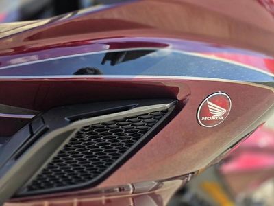 2025 Honda GOLDWING TOUR DCT - Photo 11