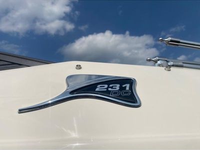 2024 Stingray DC 231 - Photo 5