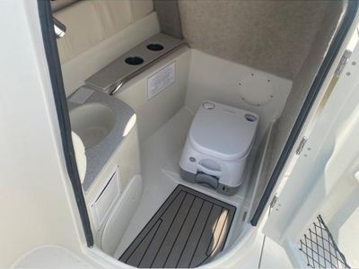 2024 Stingray DC 231 - Photo 9