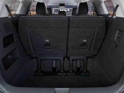 2026 Kia Carnival Hybrid — photo 19 view