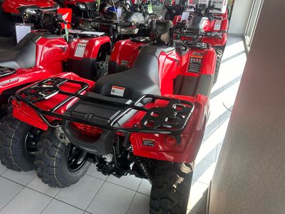 2026 Honda FourTrax Foreman Rubicon 4x4 EPS - Photo 4