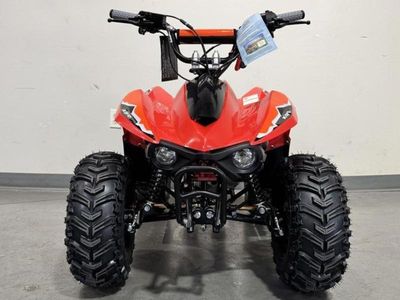 2026 Kayo Fox / Storm 70 - Photo 3