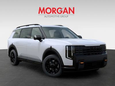 2027 Kia Telluride — photo 8 view