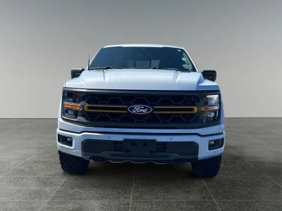 2025 Ford F-150 — side profile view