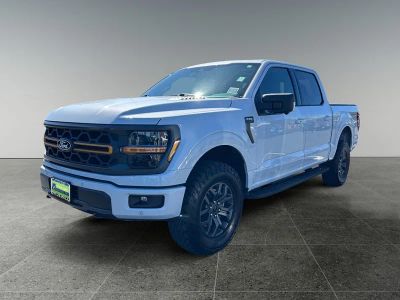 2025 Ford F-150 — rear three-quarter view