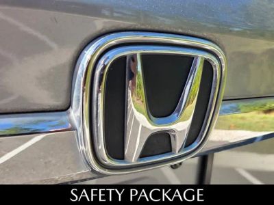 2019 Honda Odyssey — photo 13 view