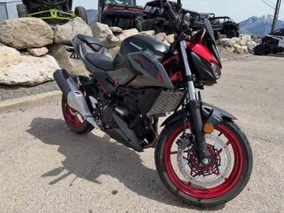 2024 Kawasaki Z500 SE ABS - Photo 7