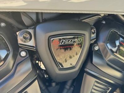 2025 Harley-Davidson RA1250ST - Pan America 1250 ST — photo 12 view