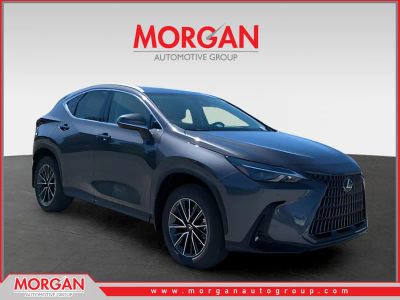 2026 Lexus NX 350 Premium in Gray — front three-quarter view