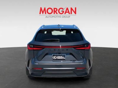 2026 Lexus NX — detail view