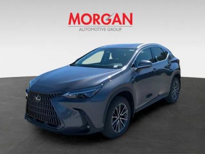 2026 Lexus NX — photo 8 view