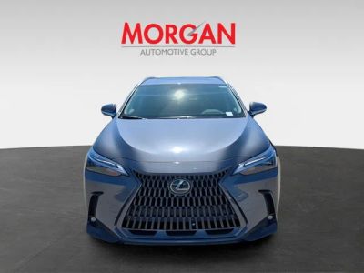 2026 Lexus NX — side profile view