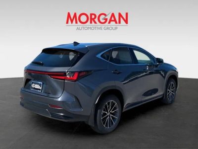 2026 Lexus NX — interior view
