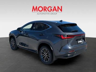 2026 Lexus NX — engine compartment view