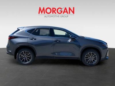 2026 Lexus NX — rear three-quarter view