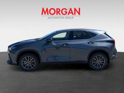 2026 Lexus NX — photo 7 view