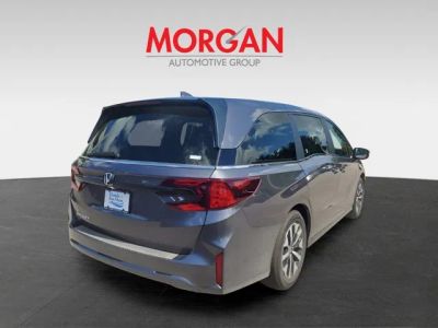 2026 Honda Odyssey — detail view