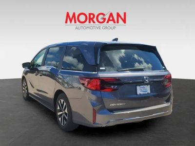 2026 Honda Odyssey — photo 7 view