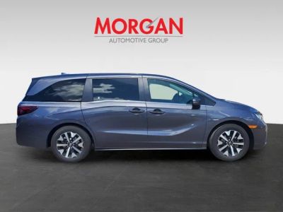 2026 Honda Odyssey — interior view